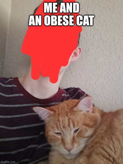 ME AND AN OBESE CAT | made w/ Imgflip meme maker