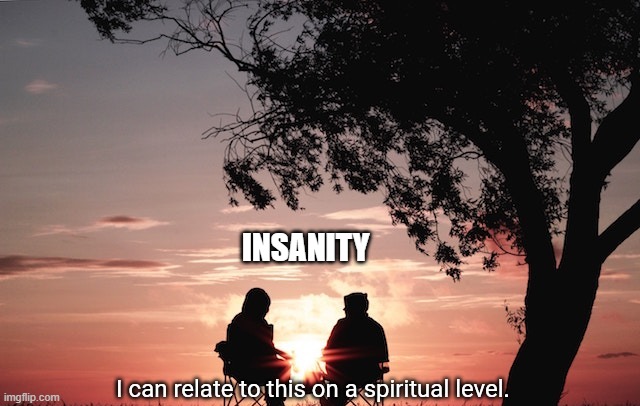I can relate to this on a spiritual level. | INSANITY | image tagged in i can relate to this on a spiritual level | made w/ Imgflip meme maker