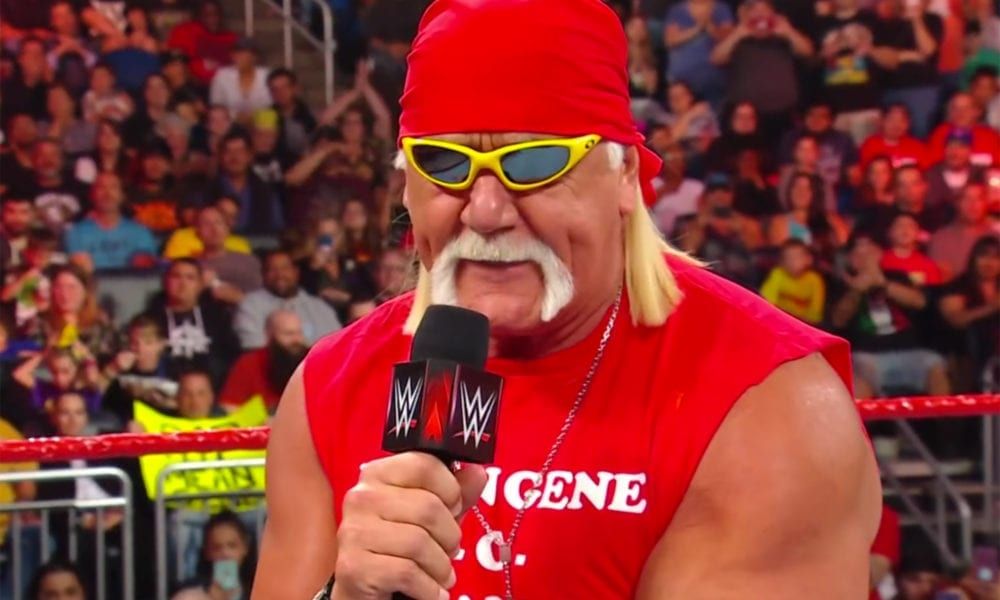 Hulk Hogan Blank Meme Template