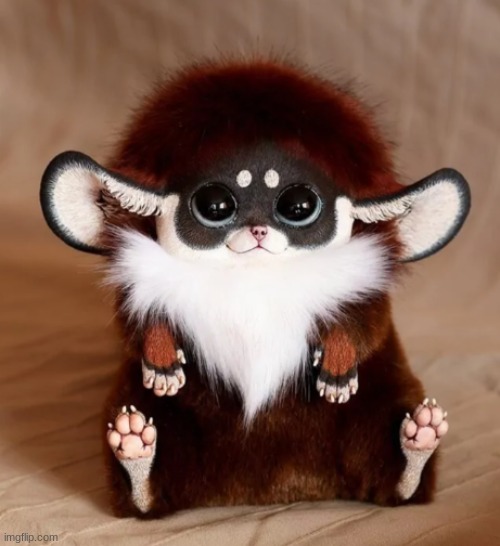 Making it canon that icy in the manga has this as a pet and names it Anko (red bean paste) | made w/ Imgflip meme maker