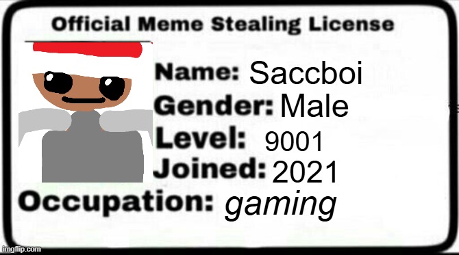 meme stealing license | Saccboi; Male; 9001; 2021; gaming | image tagged in meme stealing license | made w/ Imgflip meme maker