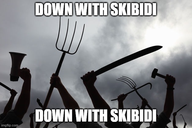 #downwithskibidi | DOWN WITH SKIBIDI; DOWN WITH SKIBIDI | image tagged in angry mob,anti skibidi | made w/ Imgflip meme maker