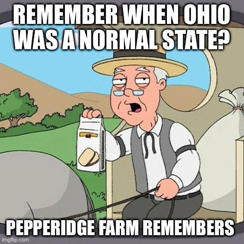 Pepperidge Farm Remembers Meme | REMEMBER WHEN OHIO WAS A NORMAL STATE? PEPPERIDGE FARM REMEMBERS | image tagged in memes,pepperidge farm remembers | made w/ Imgflip meme maker