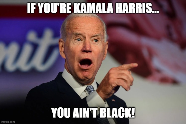 IF YOU'RE KAMALA HARRIS... YOU AIN'T BLACK! | image tagged in angry joe biden pointing | made w/ Imgflip meme maker
