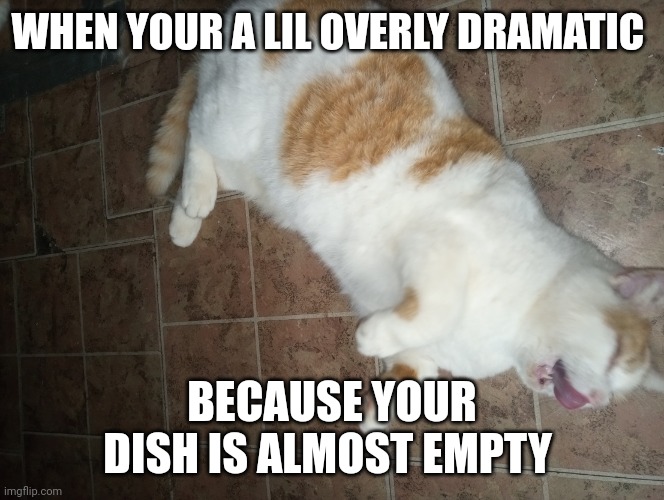 Playing dead | WHEN YOUR A LIL OVERLY DRAMATIC; BECAUSE YOUR DISH IS ALMOST EMPTY | image tagged in playing dead | made w/ Imgflip meme maker