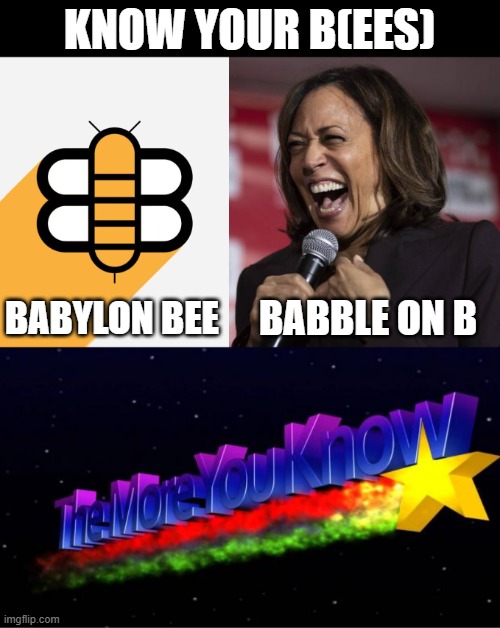 There's a joke here about the "B's Knees", but I won't make it... | KNOW YOUR B(EES); BABBLE ON B; BABYLON BEE | image tagged in kamala laughing,the more you know,babylon bee | made w/ Imgflip meme maker