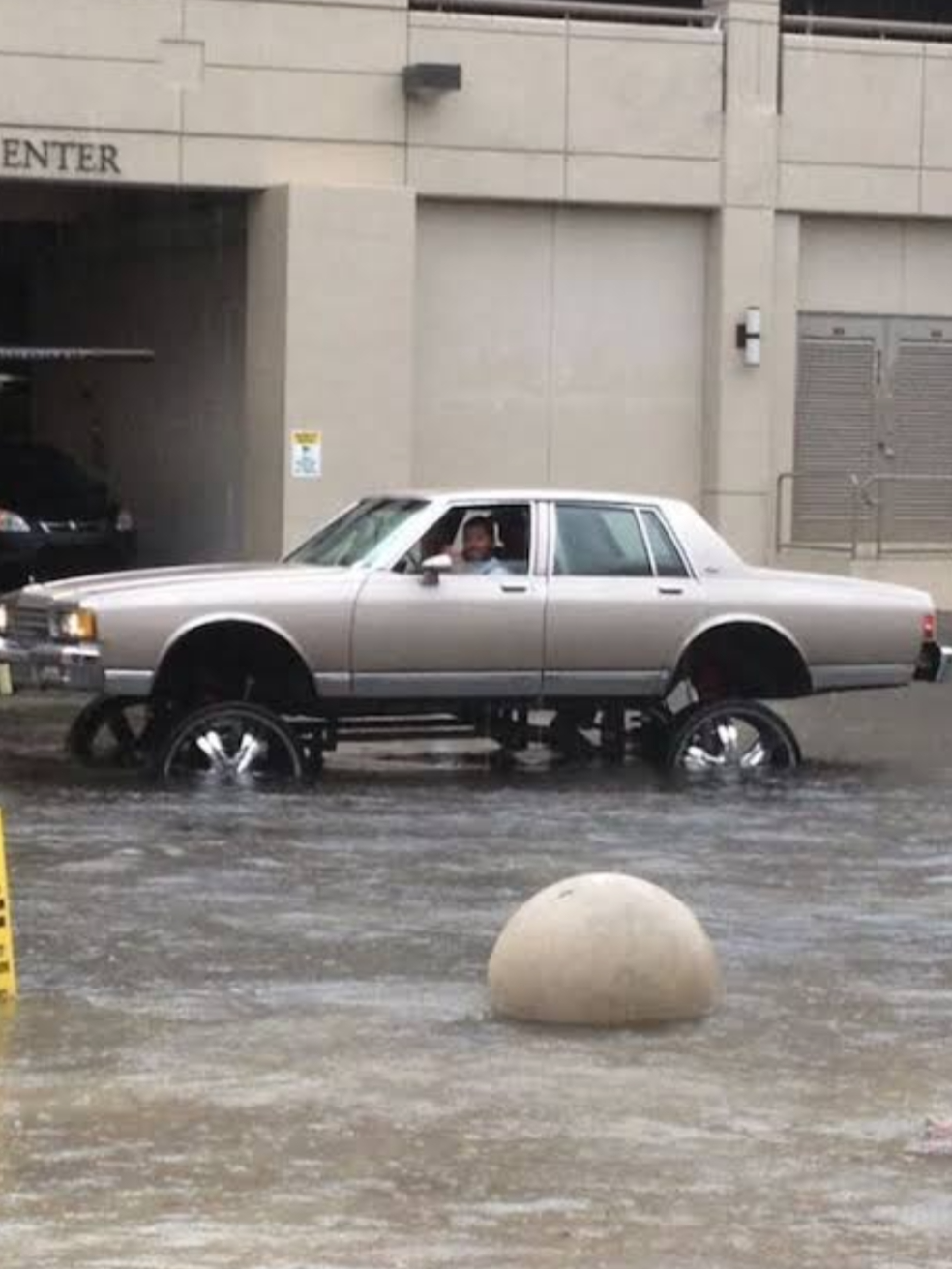 Lowe Blank Meme Template