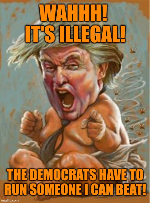 Very unfair! | WAHHH!  IT'S ILLEGAL! THE DEMOCRATS HAVE TO
RUN SOMEONE I CAN BEAT! | image tagged in trump baby,malignant narcissism,entitlement,inadequacy | made w/ Imgflip meme maker