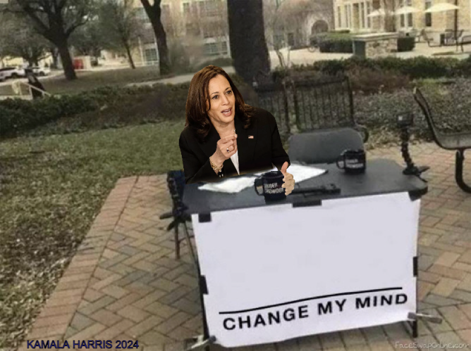 High Quality Kamala Harris Blank Meme Template