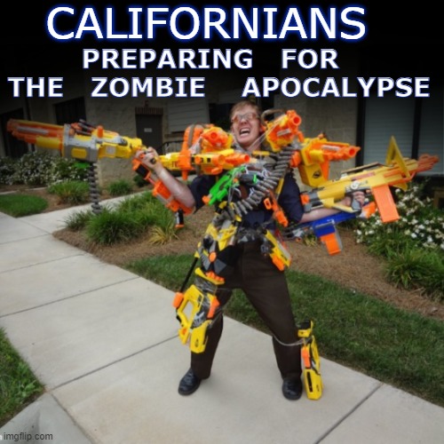 Guns | CALIFORNIANS; PREPARING   FOR   
THE   ZOMBIE    APOCALYPSE | image tagged in california,zombie,gun rights,2nd amendment,government corruption | made w/ Imgflip meme maker
