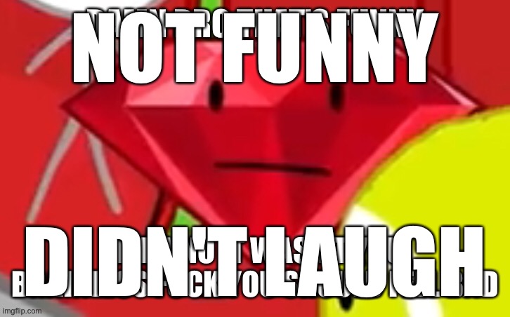 Ruby damn bro that's funny | NOT FUNNY DIDN'T LAUGH | image tagged in ruby damn bro that's funny | made w/ Imgflip meme maker
