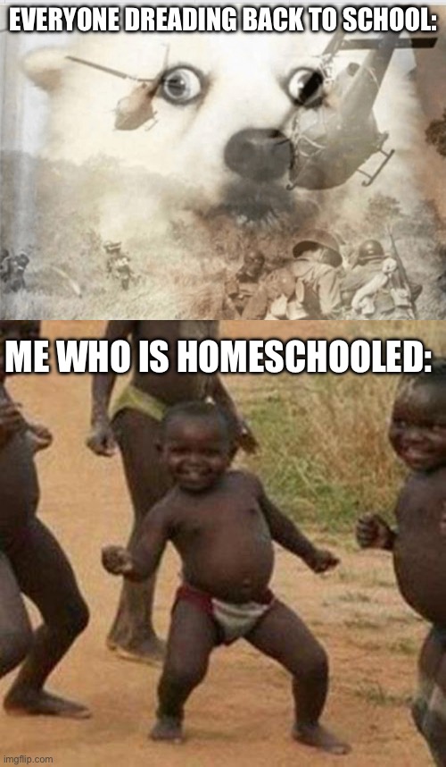 Like, I’m giving my sympathy tho | EVERYONE DREADING BACK TO SCHOOL:; ME WHO IS HOMESCHOOLED: | image tagged in ptsd dog,memes,third world success kid | made w/ Imgflip meme maker