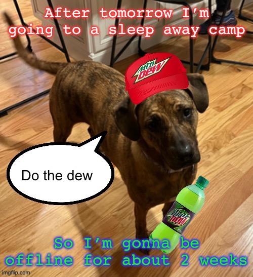 Do the dew | After tomorrow I’m going to a sleep away camp; So I’m gonna be offline for about 2 weeks | image tagged in do the dew | made w/ Imgflip meme maker