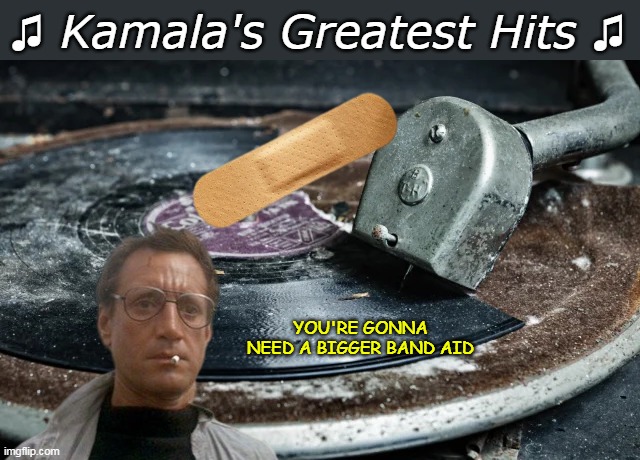 If the Border's fine? Why is the CZAR hiding ?? | YOU'RE GONNA NEED A BIGGER BAND AID ♫ Kamala's Greatest Hits ♫ | image tagged in kamalas greatest hits broken record meme | made w/ Imgflip meme maker