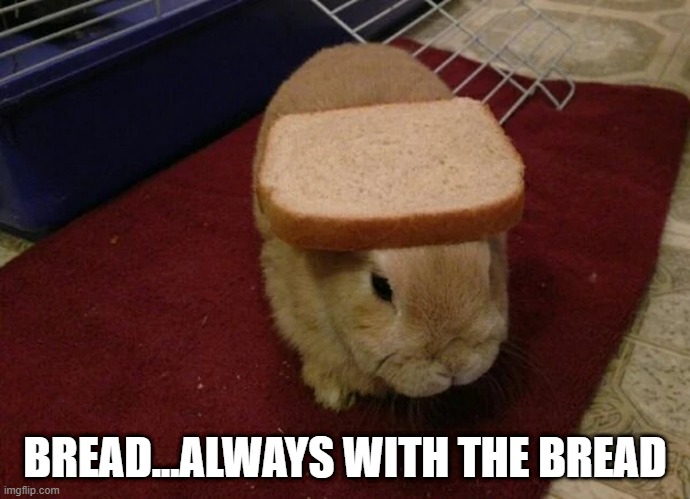 Bread | BREAD...ALWAYS WITH THE BREAD | image tagged in bunnies | made w/ Imgflip meme maker