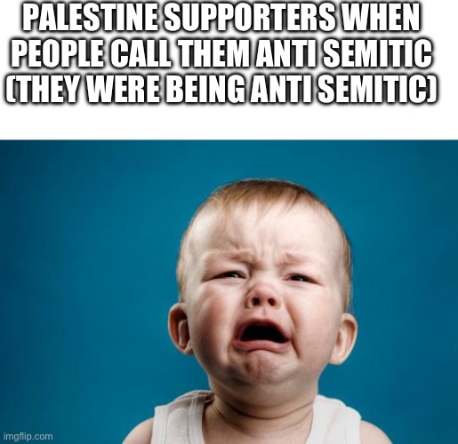 Anti semitic baby | PALESTINE SUPPORTERS WHEN PEOPLE CALL THEM ANTI SEMITIC (THEY WERE BEING ANTI SEMITIC) | image tagged in blank white template,baby crying,palestine | made w/ Imgflip meme maker