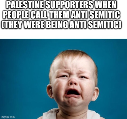 Anti semitic baby | image tagged in baby crying,blank white template,palestine | made w/ Imgflip meme maker