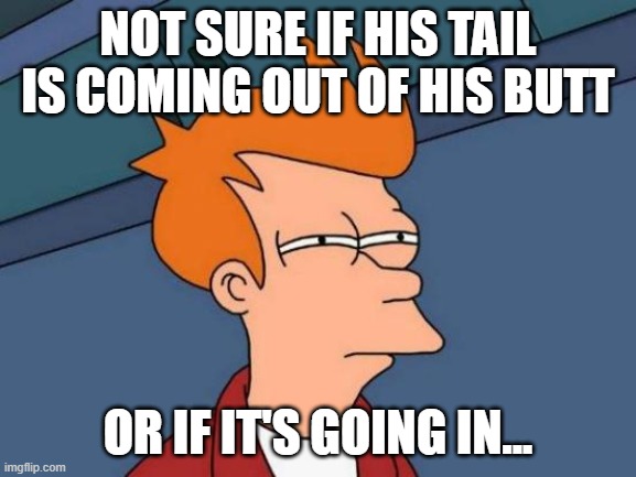 Futurama Fry Meme | NOT SURE IF HIS TAIL IS COMING OUT OF HIS BUTT OR IF IT'S GOING IN... | image tagged in memes,futurama fry | made w/ Imgflip meme maker