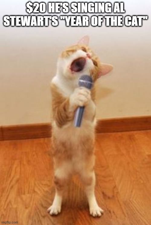 Karaoke Cat | $20 HE'S SINGING AL STEWART'S "YEAR OF THE CAT" | image tagged in cats | made w/ Imgflip meme maker