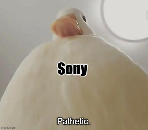 pathetic (duck#1) | Sony Pathetic. | image tagged in pathetic duck 1 | made w/ Imgflip meme maker