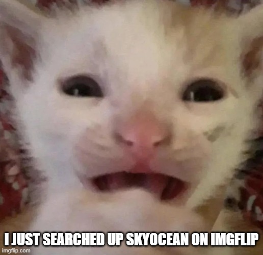 . | I JUST SEARCHED UP SKYOCEAN ON IMGFLIP | made w/ Imgflip meme maker