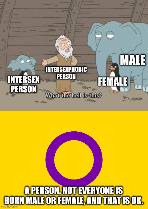 Intersex people deserve as much basic human decency as people who were born male or female | MALE; INTERSEXPHOBIC
PERSON; INTERSEX
PERSON; FEMALE; A PERSON. NOT EVERYONE IS BORN MALE OR FEMALE, AND THAT IS OK. | image tagged in what the hell is this,intersex flag,intersex,lgbtq | made w/ Imgflip meme maker