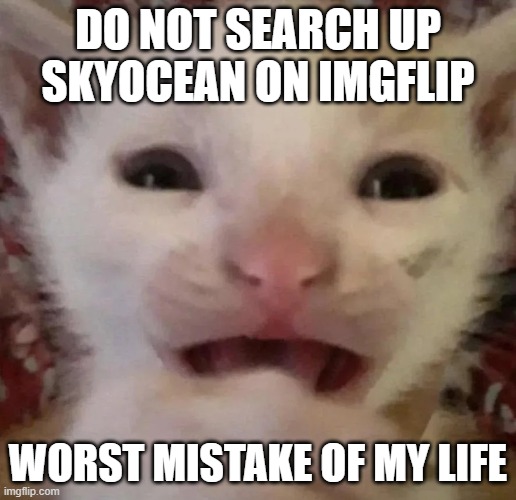 . | DO NOT SEARCH UP SKYOCEAN ON IMGFLIP; WORST MISTAKE OF MY LIFE | made w/ Imgflip meme maker