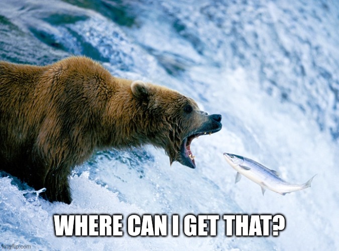 WHERE CAN I GET THAT? | image tagged in fish and bear | made w/ Imgflip meme maker