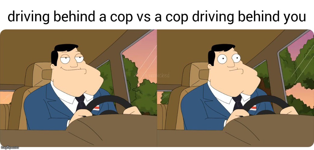 SHIT! | image tagged in american dad,cops | made w/ Imgflip meme maker