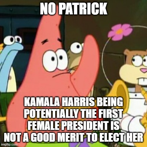 Gender is not a merit | NO PATRICK; KAMALA HARRIS BEING POTENTIALLY THE FIRST FEMALE PRESIDENT IS NOT A GOOD MERIT TO ELECT HER | image tagged in memes,no patrick | made w/ Imgflip meme maker