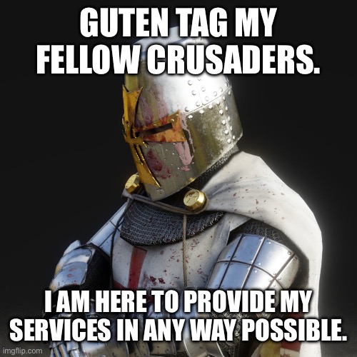 Hello my brothers in arms | GUTEN TAG MY FELLOW CRUSADERS. I AM HERE TO PROVIDE MY SERVICES IN ANY WAY POSSIBLE. | image tagged in paladin | made w/ Imgflip meme maker