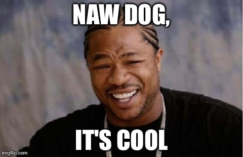 Yo Dawg Heard You Meme | NAW DOG, IT'S COOL | image tagged in memes,yo dawg heard you | made w/ Imgflip meme maker