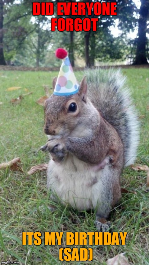 Super Birthday Squirrel | DID EVERYONE FORGOT  ITS MY BIRTHDAY (SAD) | image tagged in memes,super birthday squirrel | made w/ Imgflip meme maker