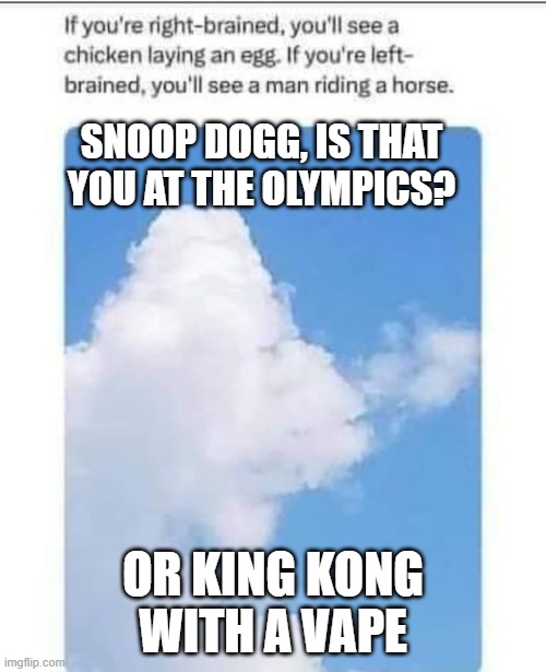 Snoop Dog | SNOOP DOGG, IS THAT YOU AT THE OLYMPICS? OR KING KONG WITH A VAPE | image tagged in snoop dog | made w/ Imgflip meme maker