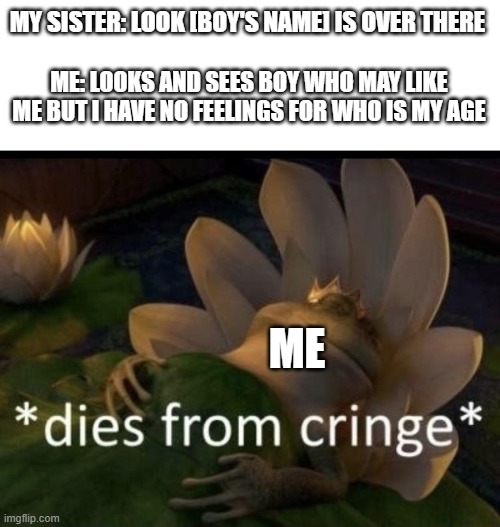 This boy looks so cringy | MY SISTER: LOOK [BOY'S NAME] IS OVER THERE; ME: LOOKS AND SEES BOY WHO MAY LIKE ME BUT I HAVE NO FEELINGS FOR WHO IS MY AGE; ME | image tagged in dies from cringe | made w/ Imgflip meme maker