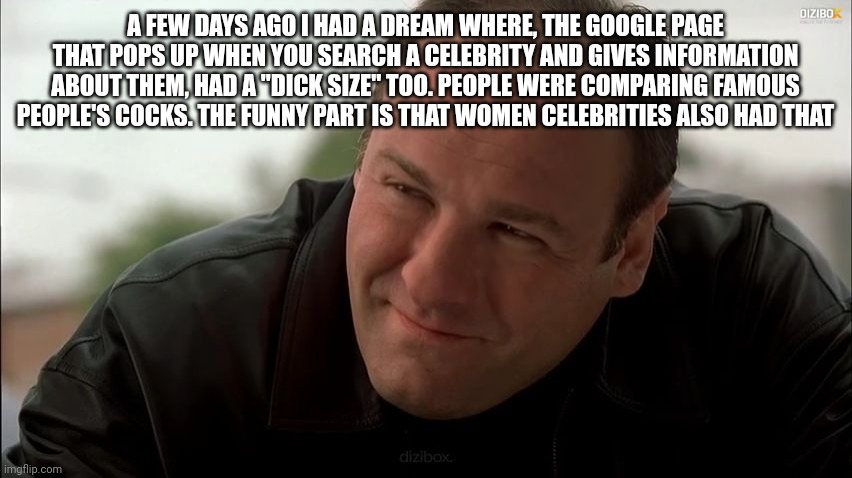 Tony Soprano | A FEW DAYS AGO I HAD A DREAM WHERE, THE GOOGLE PAGE THAT POPS UP WHEN YOU SEARCH A CELEBRITY AND GIVES INFORMATION ABOUT THEM, HAD A "DICK SIZE" TOO. PEOPLE WERE COMPARING FAMOUS PEOPLE'S COCKS. THE FUNNY PART IS THAT WOMEN CELEBRITIES ALSO HAD THAT | image tagged in tony soprano | made w/ Imgflip meme maker