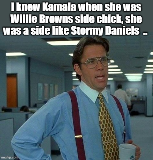 FROM side chick to WH, worked her way up. She ain't a African American either. | I knew Kamala when she was Willie Browns side chick, she was a side like Stormy Daniels  .. | image tagged in memes,that would be great | made w/ Imgflip meme maker