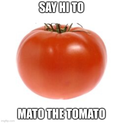 tomato | SAY HI TO; MATO THE TOMATO | image tagged in tomato | made w/ Imgflip meme maker