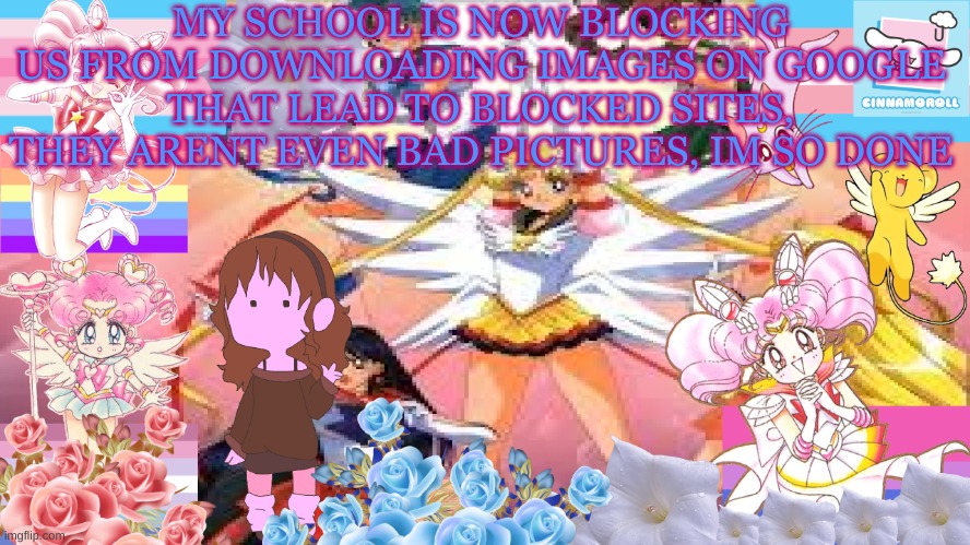 Silv3r_Kristal´s temp | MY SCHOOL IS NOW BLOCKING US FROM DOWNLOADING IMAGES ON GOOGLE THAT LEAD TO BLOCKED SITES, THEY ARENT EVEN BAD PICTURES, IM SO DONE | image tagged in silv3r_kristal s temp | made w/ Imgflip meme maker