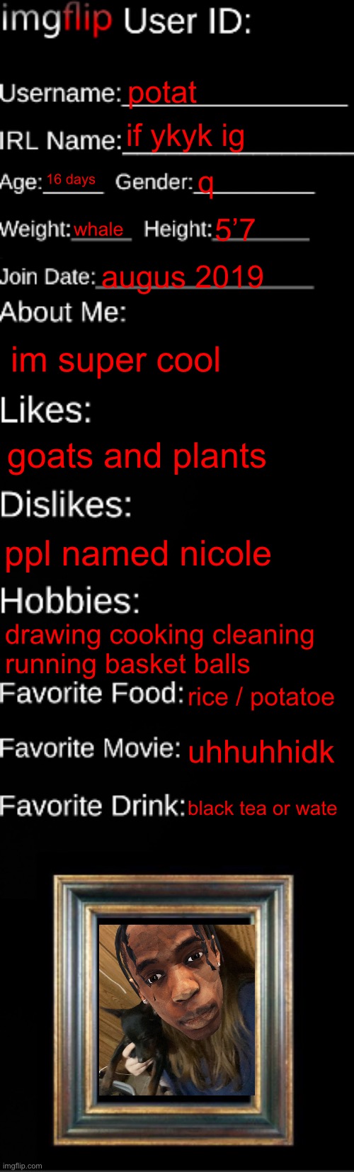 I did the | potat; if ykyk ig; 16 days; q; whale; 5’7; augus 2019; im super cool; goats and plants; ppl named nicole; drawing cooking cleaning running basket balls; rice / potatoe; uhhuhhidk; black tea or wate | image tagged in imgflip id card | made w/ Imgflip meme maker