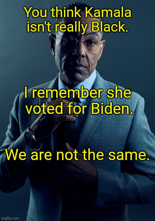 Gus Fring we are not the same | You think Kamala isn't really Black. I remember she
 voted for Biden. We are not the same. | image tagged in gus fring we are not the same | made w/ Imgflip meme maker