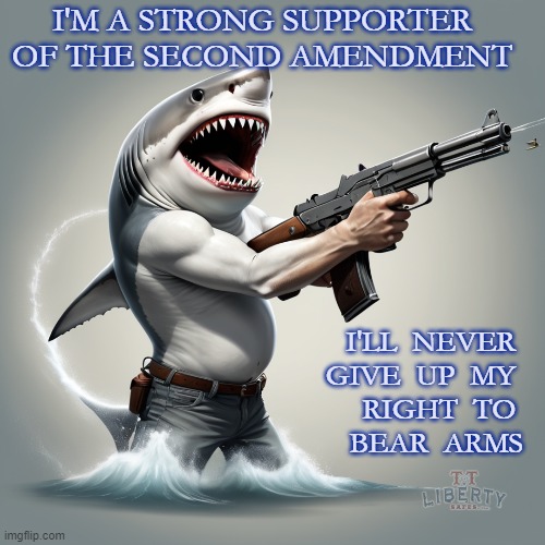 Guns | I'M A STRONG SUPPORTER OF THE SECOND AMENDMENT; I'LL  NEVER 
GIVE  UP  MY 
RIGHT  TO 
BEAR  ARMS | image tagged in 2nd amendment,gun rights,shark,right to bear arms,humor | made w/ Imgflip meme maker