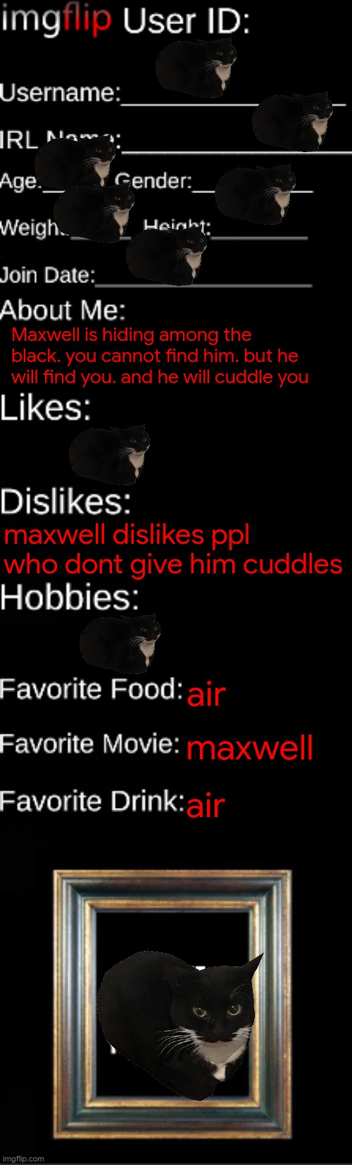 imgflip ID Card | Maxwell is hiding among the black. you cannot find him. but he will find you. and he will cuddle you; maxwell dislikes ppl who dont give him cuddles; air; maxwell; air | image tagged in imgflip id card | made w/ Imgflip meme maker