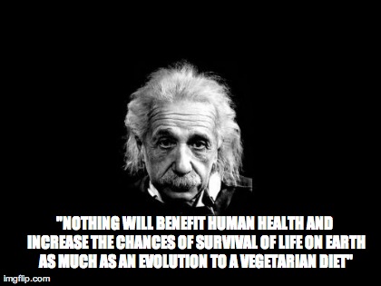 Albert Einstein 1 Meme | "NOTHING WILL BENEFIT HUMAN HEALTH AND INCREASE THE CHANCES OF SURVIVAL OF LIFE ON EARTH AS MUCH AS AN EVOLUTION TO A VEGETARIAN DIET" | image tagged in memes,albert einstein 1 | made w/ Imgflip meme maker