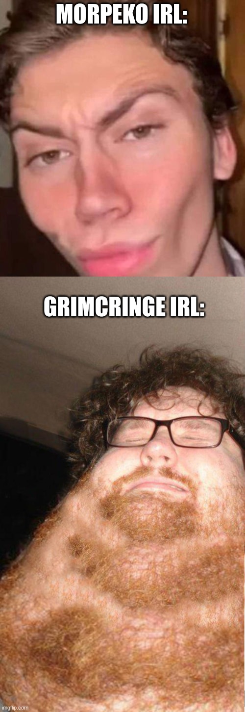 MORPEKO IRL: GRIMCRINGE IRL: | image tagged in rizz,obese neckbearded dude | made w/ Imgflip meme maker