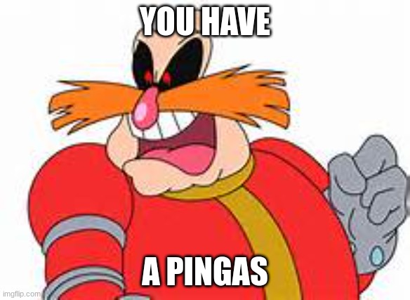 PINGAS | YOU HAVE; A PINGAS | image tagged in pingas | made w/ Imgflip meme maker