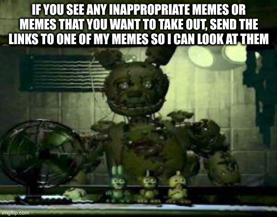 FNAF Springtrap in window | IF YOU SEE ANY INAPPROPRIATE MEMES OR MEMES THAT YOU WANT TO TAKE OUT, SEND THE LINKS TO ONE OF MY MEMES SO I CAN LOOK AT THEM | image tagged in fnaf springtrap in window | made w/ Imgflip meme maker