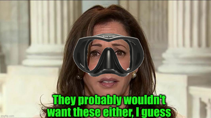 kamala harris | They probably wouldn't want these either, I guess | image tagged in kamala harris | made w/ Imgflip meme maker