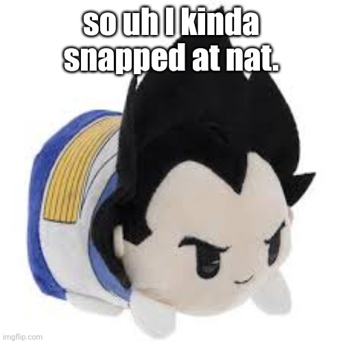 vegeta plush | so uh I kinda snapped at nat. | image tagged in vegeta plush | made w/ Imgflip meme maker