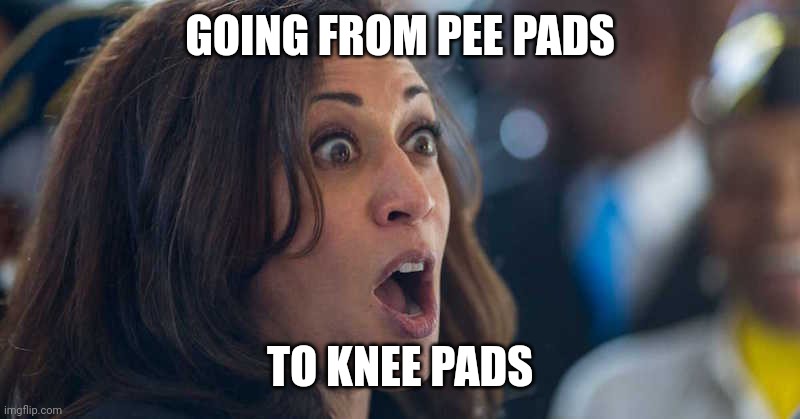 kamala harriss | GOING FROM PEE PADS; TO KNEE PADS | image tagged in kamala harriss | made w/ Imgflip meme maker